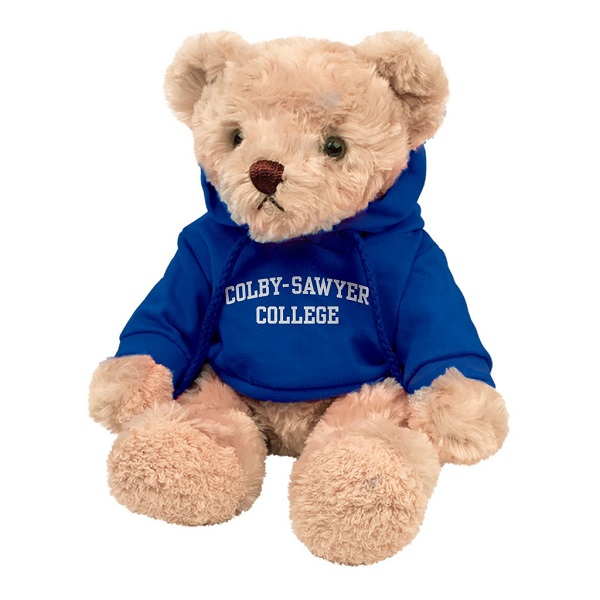 Bespoke customized logo design soft plush hoodie bear toy